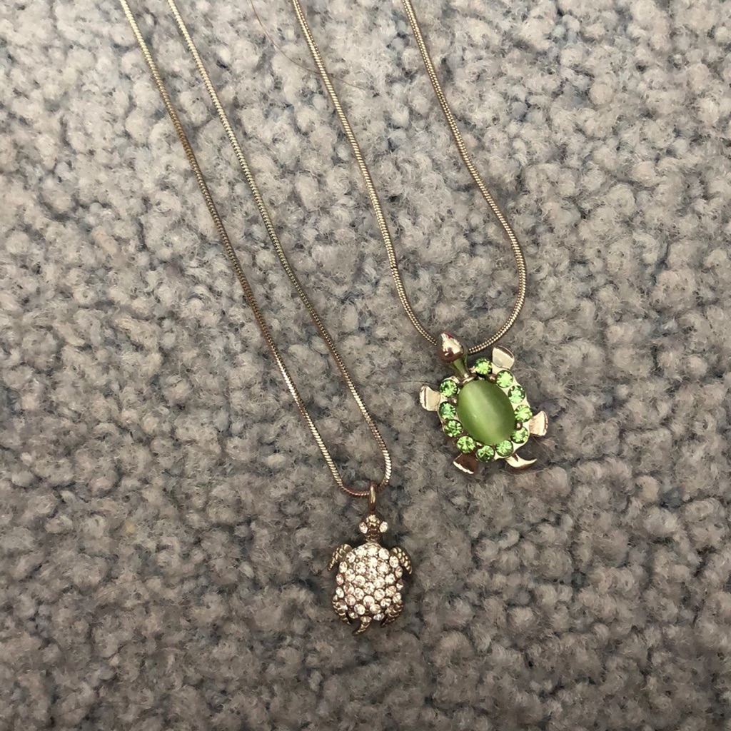 Turtle Necklaces